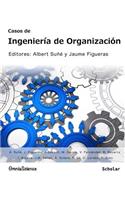 Casos de Ingeniería de Organización