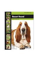 Basset Hound