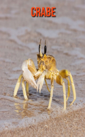 Crabe