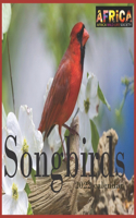 Songbirds calendar 2022