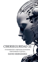 Ciberseguridad 33