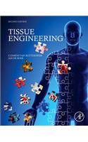 Tissue Engineering