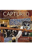 Captured: Lessons from Behind the Lens of a Legendary Wildlife Photographer