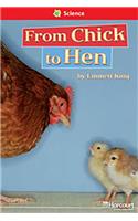 Storytown: Below Level Reader Teacher's Guide Grade 1 Chick to Hen