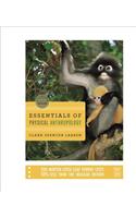 Essentials of Physical Anthropology: Discovering Our Origins