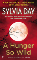 A Hunger So Wild: A Renegade Angels Novel(2 Renegade Angels Novel)