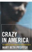 Crazy in America