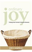 Ordinary Joy