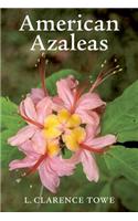 American Azaleas