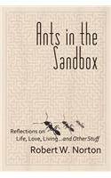 Ants in the Sandbox