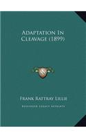 Adaptation In Cleavage (1899)