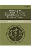 Modeling R8 Specification in the Drosophila Eye