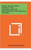 What Mean These Stones? the Significance of Archeology for Biblical Studies