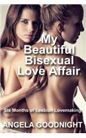 My Beautiful Bisexual Love Affair: Six Months of Lesbian Lovemaking