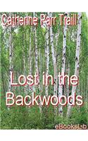 Lost in the Backwoods