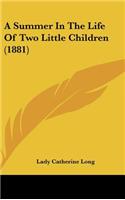 A Summer in the Life of Two Little Children (1881)