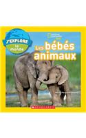 National Geographic Kids: j'Explore Le Monde: Les Bébés Animaux