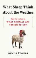 What Sheep Think about the Weather