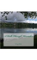 A Walk Through Wenatchee: (1 Artist Walks Through Small Places)