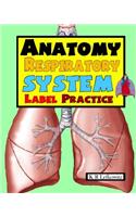 Anatomy Respiratory System Label Practice