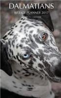 Dalmatians Weekly Planner 2017: 16 Month Calendar