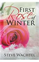 First Rose of Winter