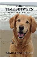 The Time Between an Auto'Pup'Ography