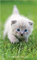 Password Notebook: Internet Address and Password Logbook / Journal / Diary - Blue-Eyed Kitten