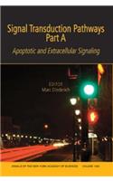 Signal Transduction Pathways, Part A: Apoptotic and Extracellular Signaling, Volume 1090