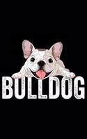 Bulldog