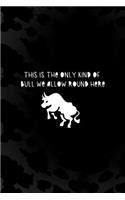 This Is The Only Kind Of Bull We Allow Round Here