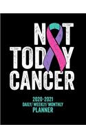 Not Today Thyroid Cancer: 2020 -2021 Daily/ Weekly/ Monthly Planner: Thyroid Cancer Awareness: 2-Year Personal Planner with Grid Calendar Purple Pink and Teal Ribbon Appointm