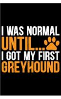 I Was Normal Until I Got My First Greyhound