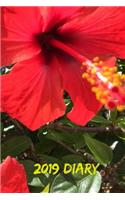 2019 Diary: Hibiscus Flowers Week to View Planner (6x9 80 Pages A5)