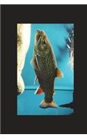 Salvelinus Fontinalis Brook Trout in an Aquarium Journal: Take Notes, Write Down Memories in this 150 Page Lined Journal