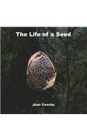 The Life of a Seed