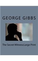 The Secret Witness: Large Print