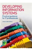 Developing Information Systems