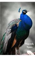 Peacock Notes