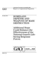 Homeland defense and weapons of mass destruction