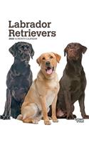 Labrador Retrievers 2020 Diary