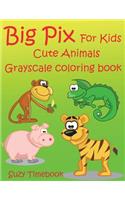 Big Pix for Kids Cute Animals