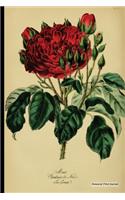 Botanical Print Journal