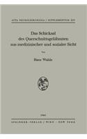 Das Schicksal des Querschnittsgelähmten aus medizinischer und sozialer Sicht