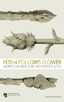 Form Follows Flower: Moritz Meurer, Karl Blossfeldt & Co.