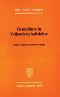 Grundkurs in Volkswirtschaftslehre