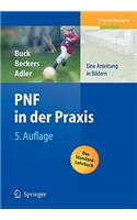 Pnf in Der Praxis