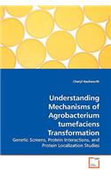 Understanding Mechanisms of Agrobacterium tumefaciens Transformation