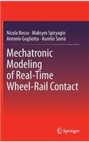 Mechatronic Modeling of Real-Time Wheel-Rail Contact