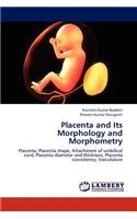 Placenta and Its Morphology and Morphometry